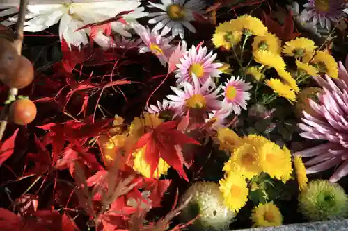 豊景神社の手水舎