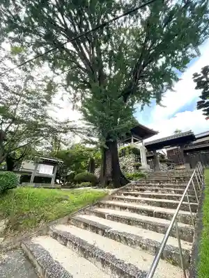 金蔵寺(三重県)
