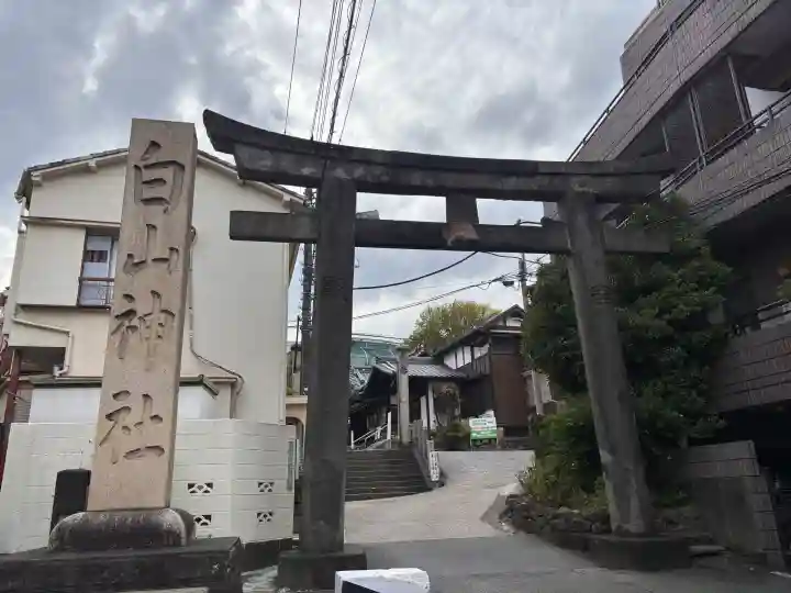 白山神社の{uncategorized: "未分類", other: "その他", undefined: "問題あり", building: "その他建物", grave: "お墓", sacred_gate: "鳥居", guardian: "狛犬", statue: "像", buddha: "仏像", history: "歴史", nature: "自然", garden: "庭園", animal: "動物", pagoda: "塔", temizu: "手水舎", mountain_gate: "山門・神門", sanctuary: "本殿・本堂", subordinate: "末社・摂社", art: "芸術", scenery: "景色", jizo: "地蔵", ema: "絵馬", goshuin: "御朱印", omikuji: "おみくじ", items: "授与品その他", amulet: "お守り", goshuincho: "御朱印帳", eats: "食事", festival: "お祭り", votive_dance: "神楽", shichigosan: "七五三参", wedding: "結婚式", experience: "体験その他", initially: "初詣", around: "周辺", anti_infection: "感染症対策"}