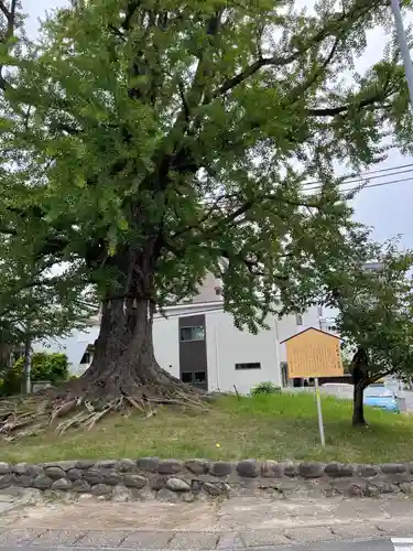 津島神社(愛知県)