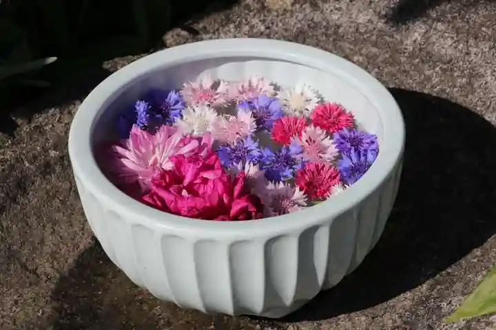 開成山大神宮の手水舎