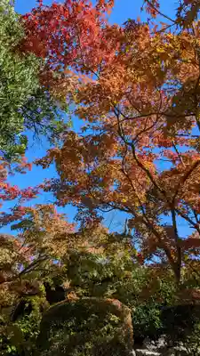 勧修寺(京都府)