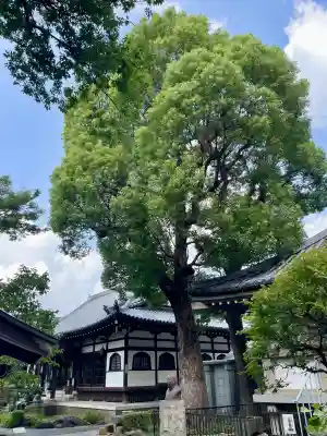 常楽寺(神奈川県)
