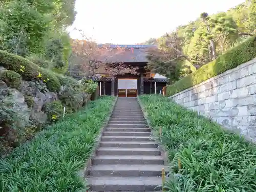 横浜　西方寺の山門・神門