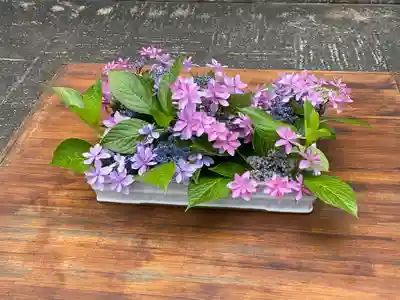 密藏院(東京都)