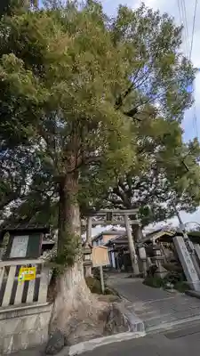 山王神社(京都府)