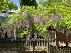 那古野神社(愛知県)