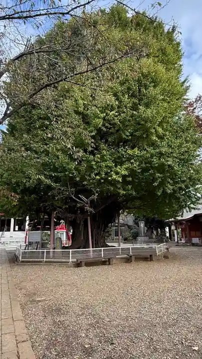 千葉寺(千葉県)