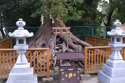 和泉國一之宮　大鳥大社(大阪府)