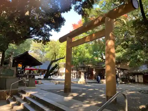 乃木神社の鳥居