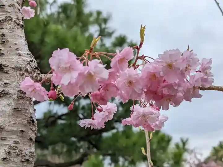 正法寺(京都府)