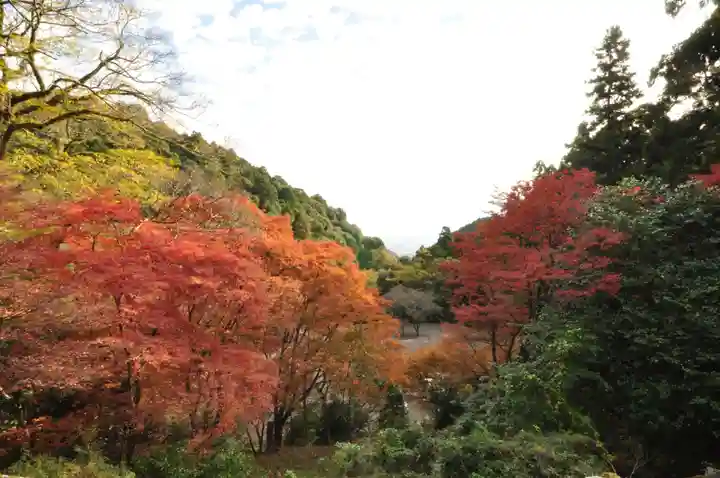 西山興隆寺(愛媛県)