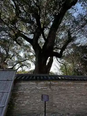 石清水八幡宮(京都府)