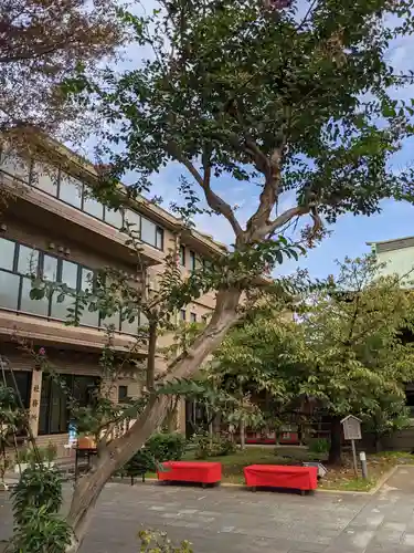 桜神宮のその他建物