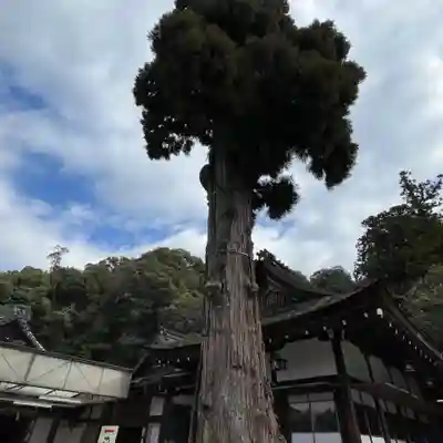 大神神社(奈良県)