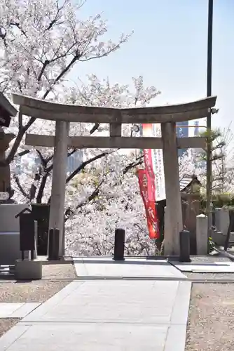 北野天満神社の鳥居