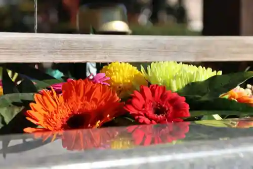 豊景神社の手水