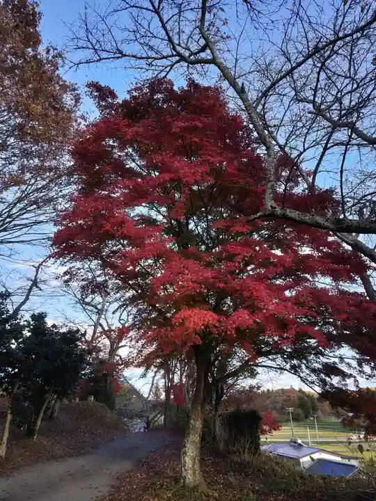 長屋神社(福島県)