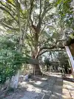 椎植神社(滋賀県)