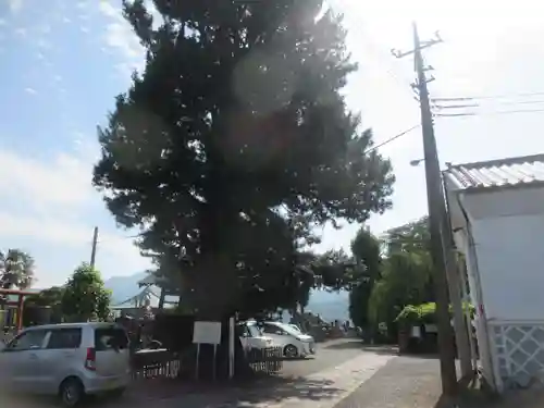 正覚寺(群馬県)