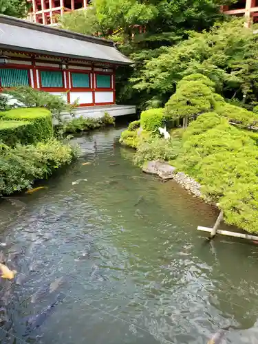 祐徳稲荷神社(佐賀県)