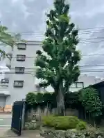 西光寺(東京都)