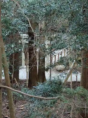 和多都美神社(長崎県)