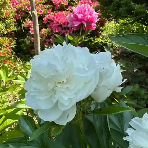 豊景神社(福島県)