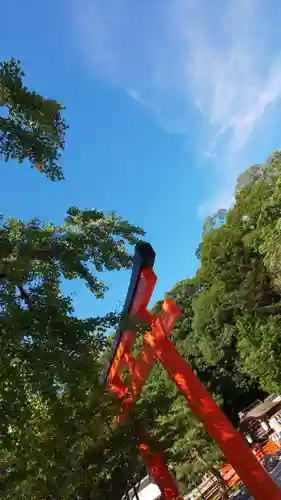 賀茂御祖神社（下鴨神社）の鳥居