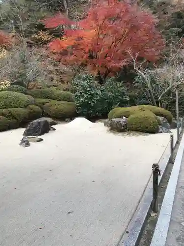 明月院の庭園