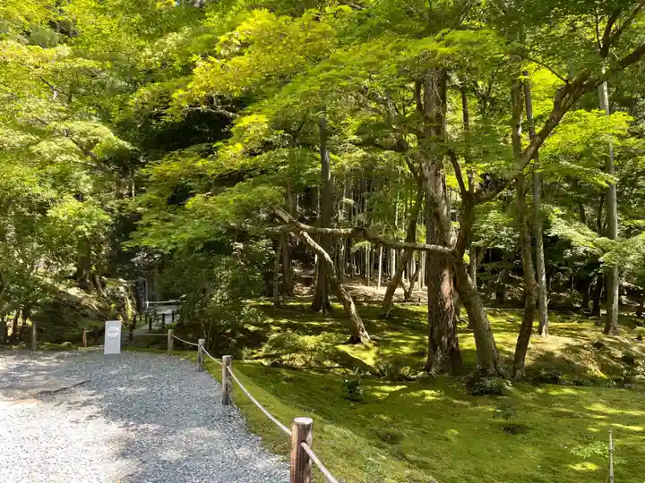 西芳寺(京都府)