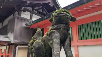 住吉神社の狛犬