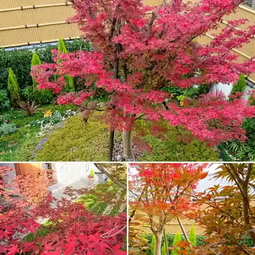 寿量山　速成寺の自然