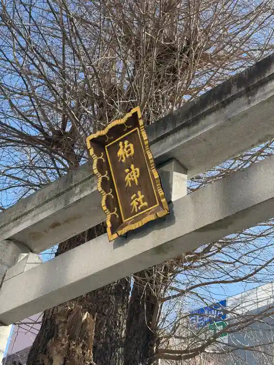 柏神社の{uncategorized: "未分類", other: "その他", undefined: "問題あり", building: "その他建物", grave: "お墓", sacred_gate: "鳥居", guardian: "狛犬", statue: "像", buddha: "仏像", history: "歴史", nature: "自然", garden: "庭園", animal: "動物", pagoda: "塔", temizu: "手水舎", mountain_gate: "山門・神門", sanctuary: "本殿・本堂", subordinate: "末社・摂社", art: "芸術", scenery: "景色", jizo: "地蔵", ema: "絵馬", goshuin: "御朱印", omikuji: "おみくじ", items: "授与品その他", amulet: "お守り", goshuincho: "御朱印帳", eats: "食事", festival: "お祭り", votive_dance: "神楽", shichigosan: "七五三参", wedding: "結婚式", experience: "体験その他", initially: "初詣", around: "周辺", anti_infection: "感染症対策"}