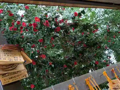 聖神社(埼玉県)