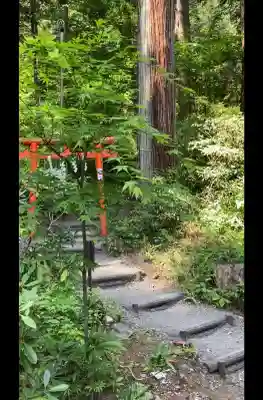 日光二荒山神社の{uncategorized: "未分類", other: "その他", undefined: "問題あり", building: "その他建物", grave: "お墓", sacred_gate: "鳥居", guardian: "狛犬", statue: "像", buddha: "仏像", history: "歴史", nature: "自然", garden: "庭園", animal: "動物", pagoda: "塔", temizu: "手水舎", mountain_gate: "山門・神門", sanctuary: "本殿・本堂", subordinate: "末社・摂社", art: "芸術", scenery: "景色", jizo: "地蔵", ema: "絵馬", goshuin: "御朱印", omikuji: "おみくじ", items: "授与品その他", amulet: "お守り", goshuincho: "御朱印帳", eats: "食事", festival: "お祭り", votive_dance: "神楽", shichigosan: "七五三参", wedding: "結婚式", experience: "体験その他", initially: "初詣", around: "周辺", anti_infection: "感染症対策"}
