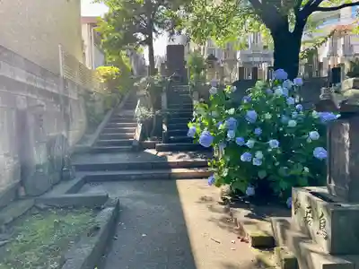 陽寿院(東京都)