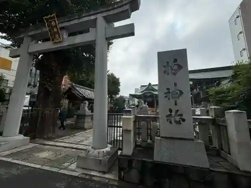 柏神社(千葉県)