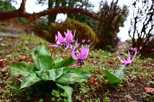 三春大神宮の自然