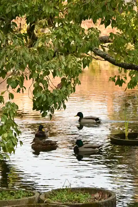 香椎宮(福岡県)