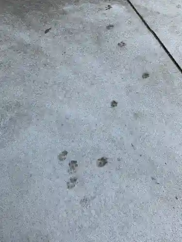 行願寺（革堂）(京都府)