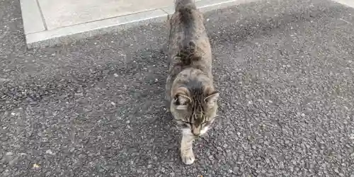 白金氷川神社(東京都)
