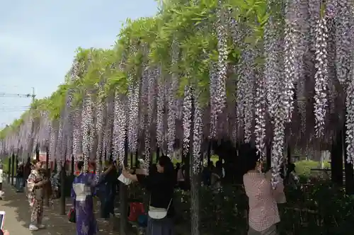 玉敷神社(埼玉県)