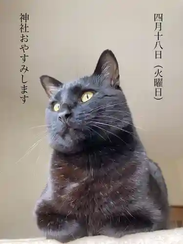 高司神社〜むすびの神の鎮まる社〜(福島県)