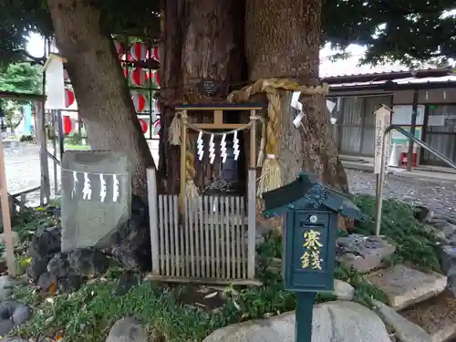 嶺白山神社の自然