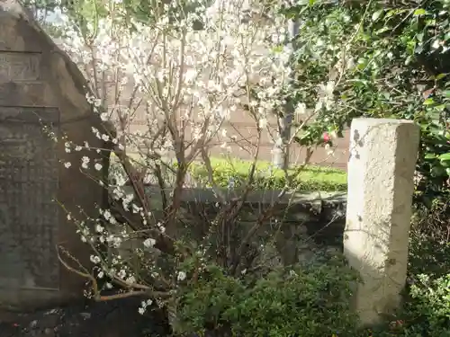 末広稲荷神社(東京都)