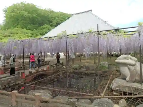 長泉寺の庭園