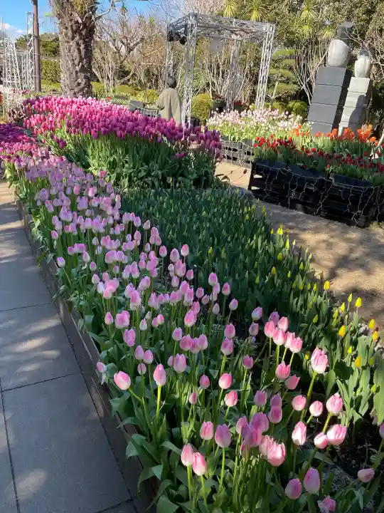 江島神社(神奈川県)