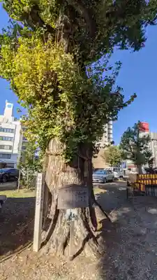 金山神社の自然