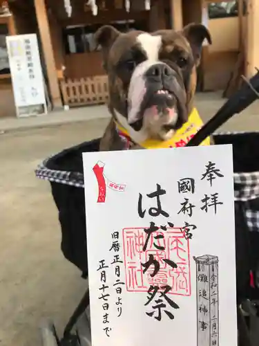 尾張大國霊神社（国府宮）の動物